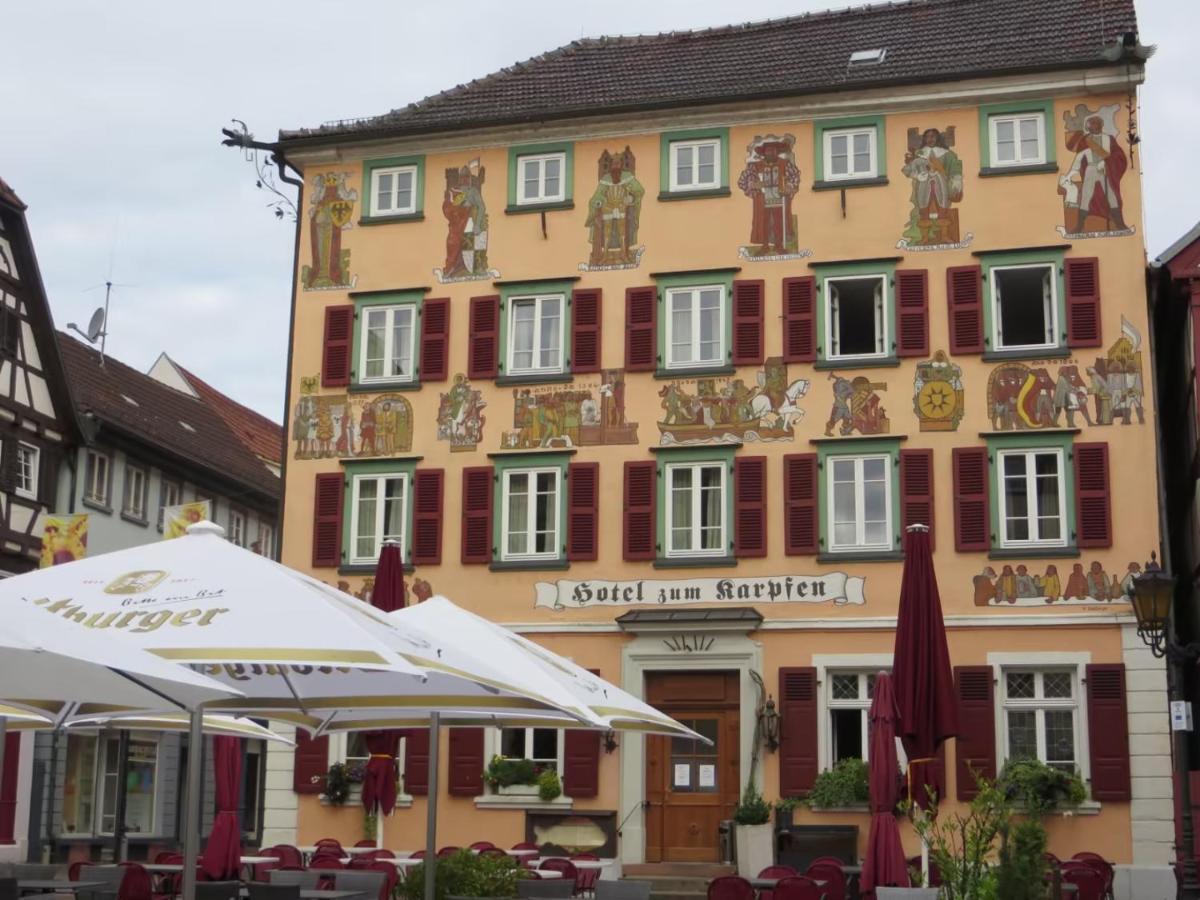 Hideaway Im Odenwald Nahe Heidelberg Apartment Eberbach  Exterior photo